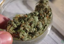 California Marijuana Dispensary