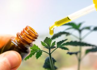 Best CBD Oil for Pain Relief